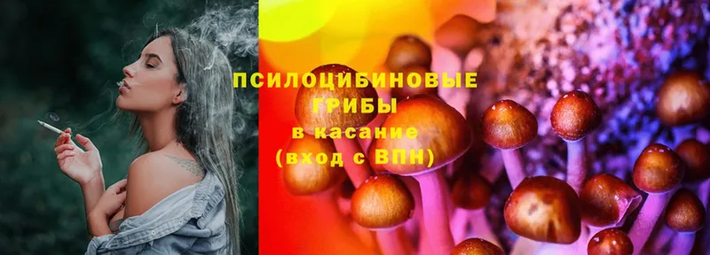 Псилоцибиновые грибы Psilocybe  kraken онион  Гусь-Хрустальный 